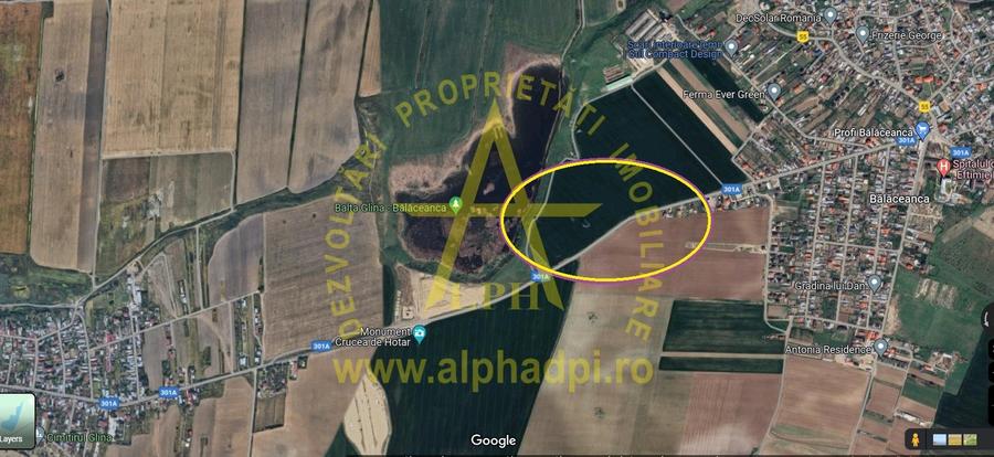 Cernica - Balaceanca 10 000 mp, Intravilan,deschidere 83 m la sosea asfaltata. - 1