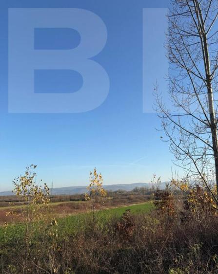 Teren de vanzare, Extravilan in Gurasada, 18532 MP - 6