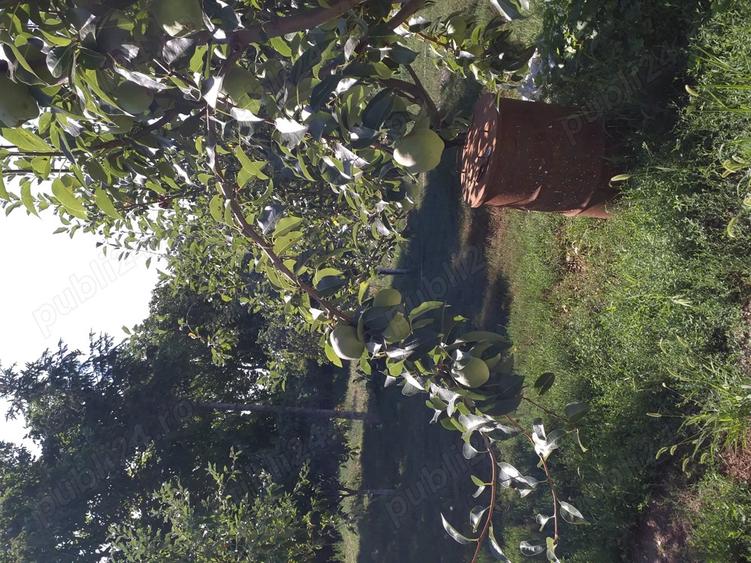 Vand casa la ?ara - 3