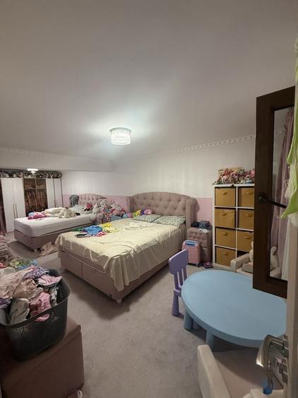 Casa de vanzare andronache - 4