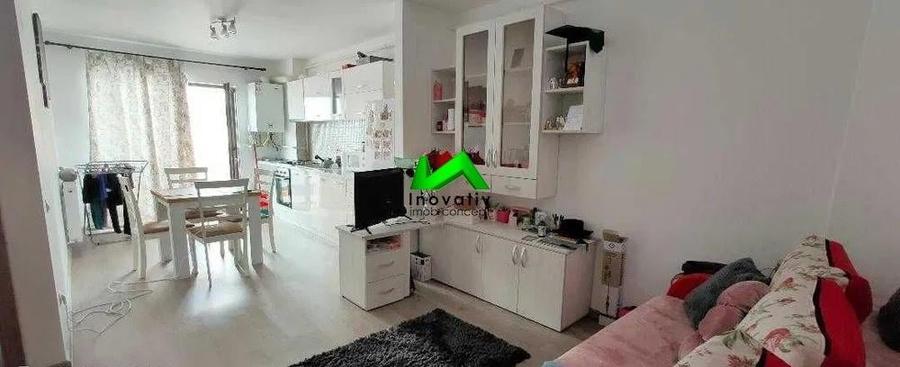 Apartament de inchiriat 2 camere Doamna Stanca - 1