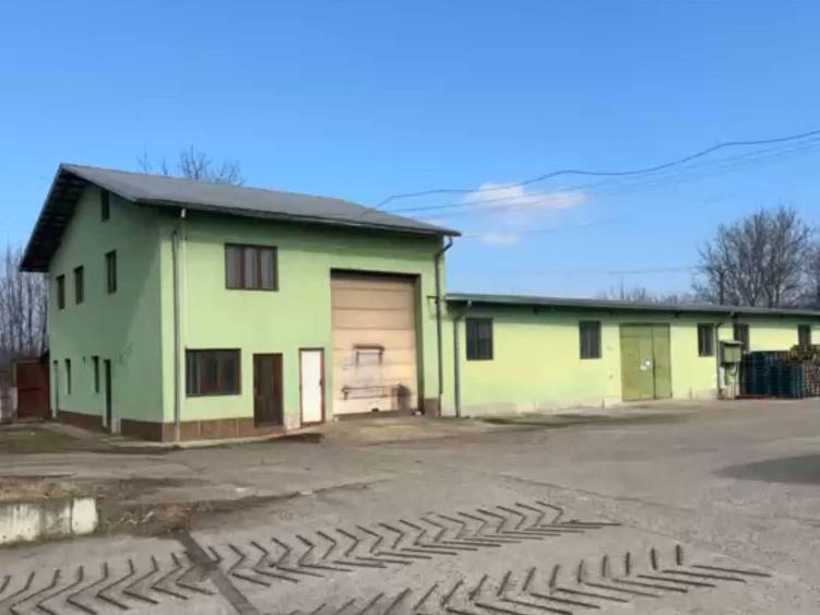 Spatiu de inchiriere/vanzare depozitare - Roman - 6