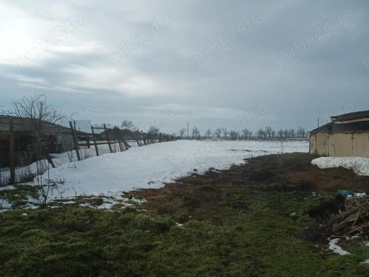 Casa la tara, jud Tulcea - 4