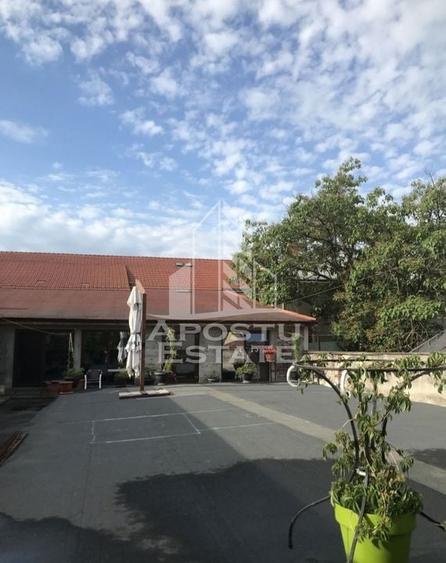 Spatiu comercial  1600 mpu, centrală  pe gaz, zona Ultracentrala - 10