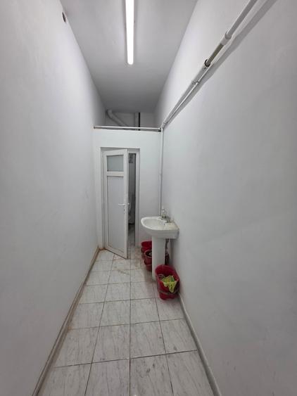 Theodor Pallady, 10 minute metrou 1 Decembrie 1918, stradal - 4