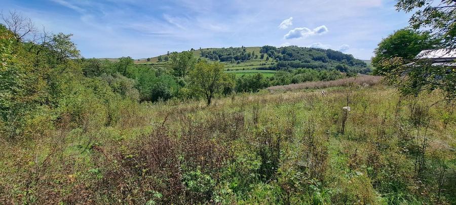 Teren de 4300 mp, în Ciurila