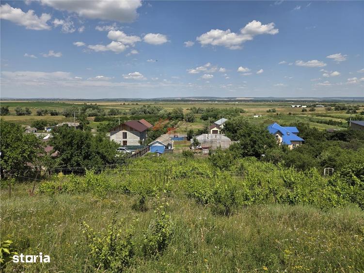Teren de 4800 mp, în Tomești