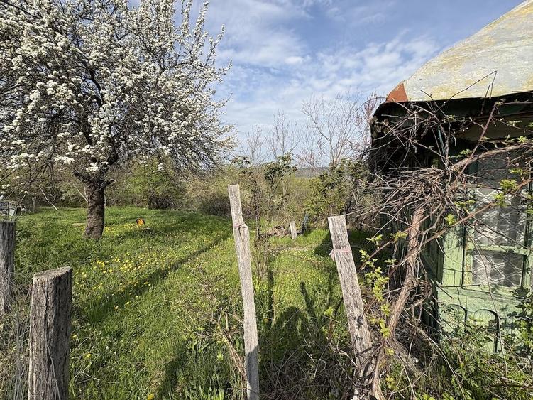 Teren de 5200 mp, în Măncioiu