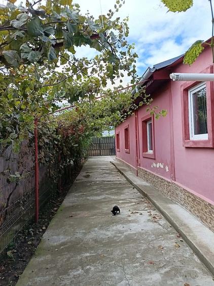Casă cu 3 camere cu Teren 10000 Mp în Central