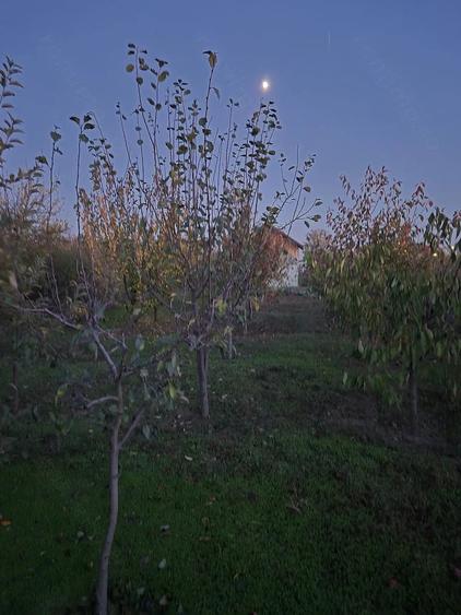 Casă cu Teren 1300 Mp în Varlaam