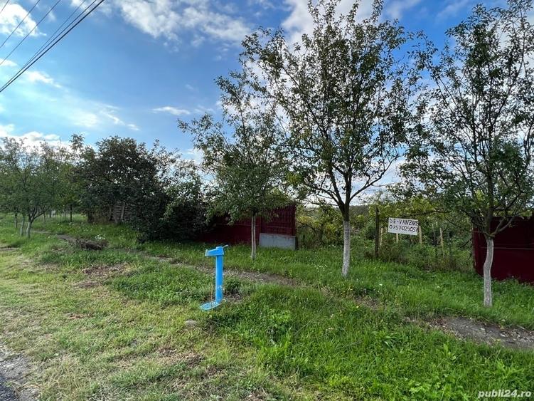 Teren de 1600 mp, în Cuied