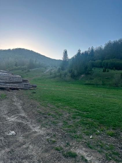 Teren intravilan în Marginea - 1