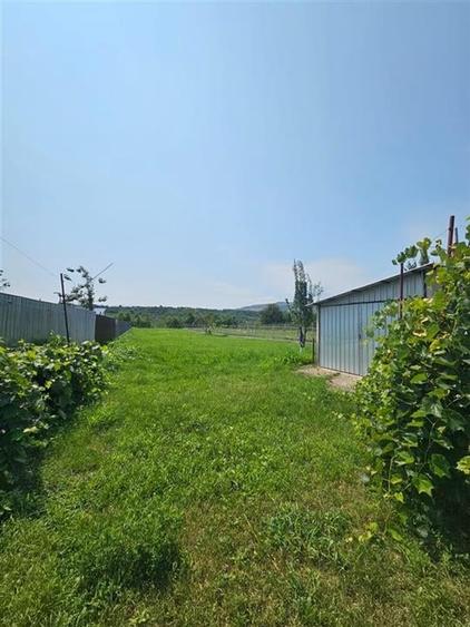 Casa solida, independenta energetic, mutare imediata, 2000 mp teren Targu Trotus - 7