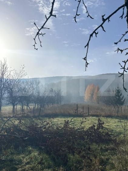 Casa de vacanta de vanzare, in Lisnau - Comuna Ozun - 2