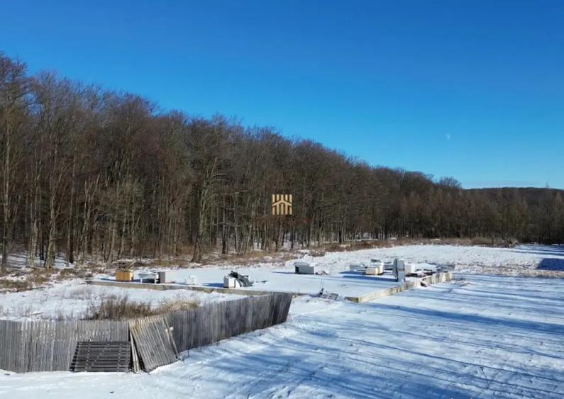 Teren Intravilan langa Padure 10.000 mp 1 hectar Suceava - 2