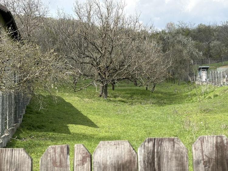 Vand teren Aninoasa Jud Dambovita - 2