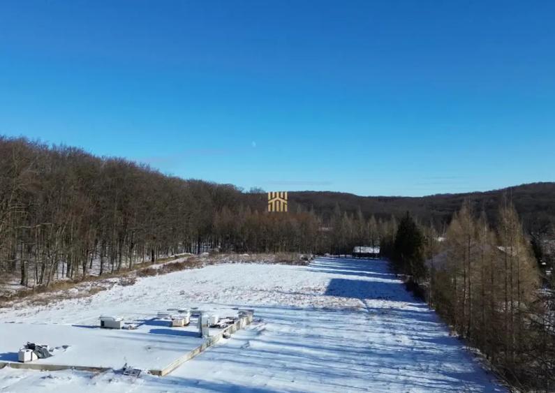 Teren Intravilan langa Padure 10.000 mp 1 hectar Suceava - 3
