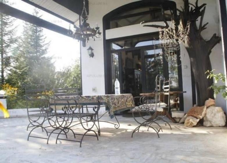 Vila pe malul Lacului Snagov, Piscina, 2 Foisoare, Garaj - 5