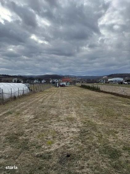 Teren intravilan/extravilan 2000 mp , Luna de Sus - 4