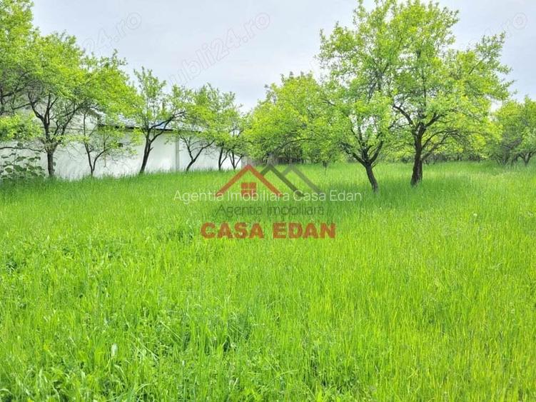 Teren intravilan in Scorteni--3999mp--55.000e