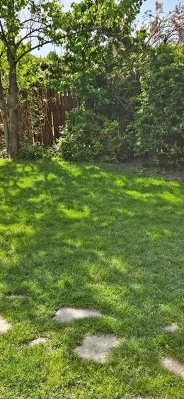 Mosnita Noua , in spate la Mega Image , strada Domogled !!! - 1