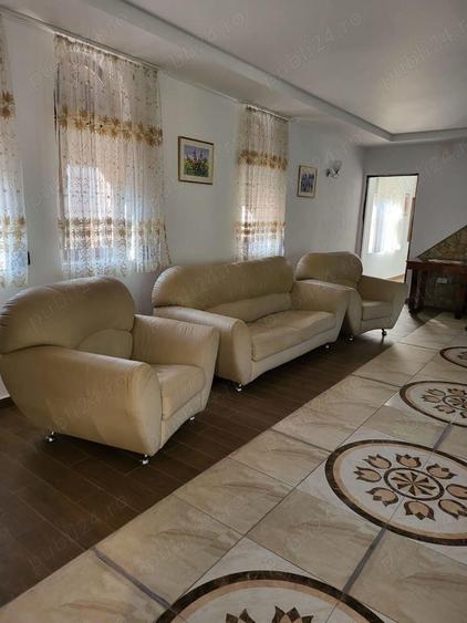 Casa si Teren Tara Lovistei Greblesti - 9