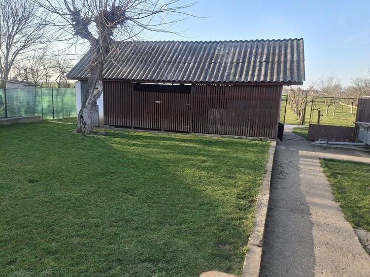 Casa 3 camere SOFRONEA - 8