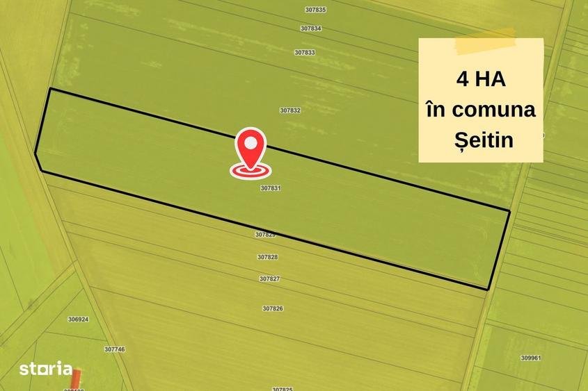 Teren extravilan in Seitin, 4 hectare de vanzare, ZERO COMISION - 2