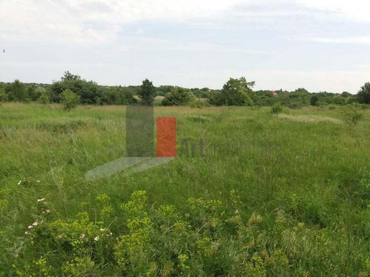 Teren Buftea cu iesire la lac - 5