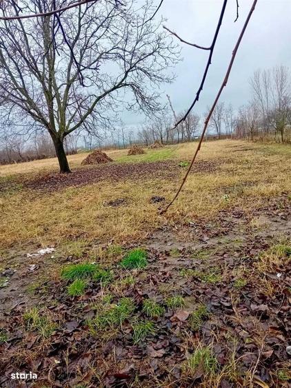 Casa cu 5 camere in localitatea Sacuieni - 4