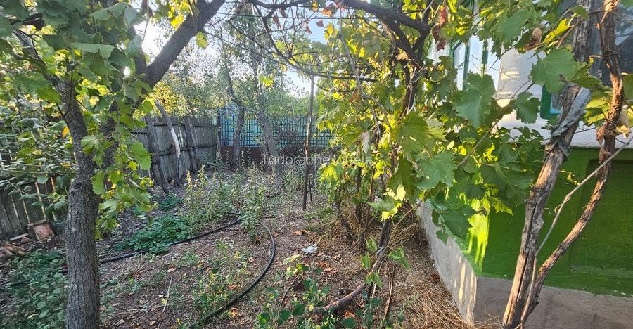 Vand casa in Teleorman, sat Albeni