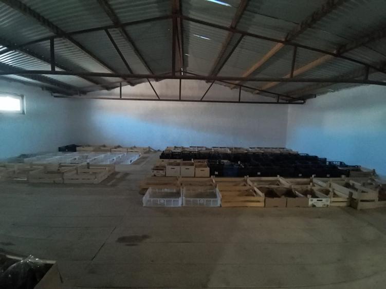 Hală Industrială | 519 MP | Teren 2419 MP | Suceava - 1