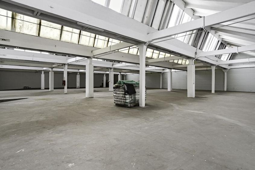 Hala Industriala de inchiriat 1.174 mp cu rampa egalizatoare, Arad - 8