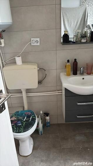 casa comuna Berceni - 3