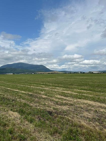 Teren agricol extravilan de 10000 mp, în Hălchiu