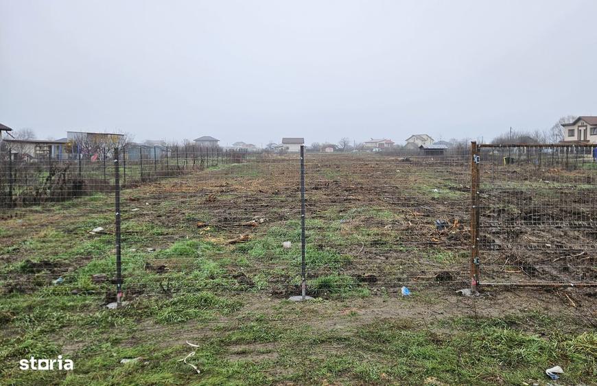 Teren intravilan Ciorogarla, Magnoliei - 2