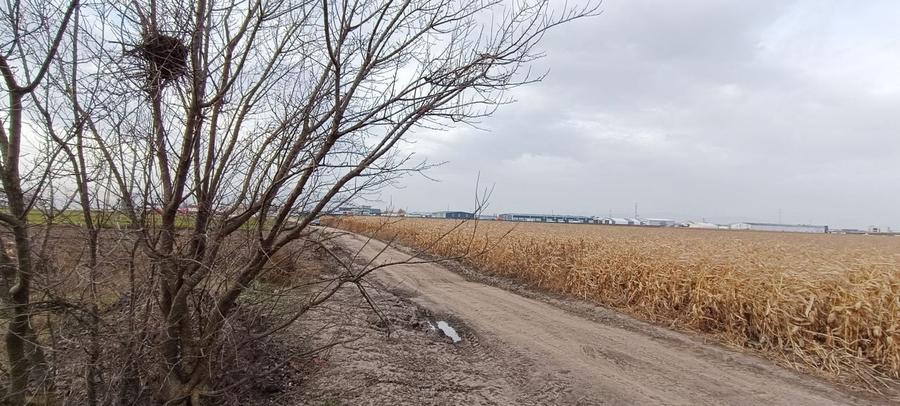 Teren intravilan industrial,str.Durau - 7