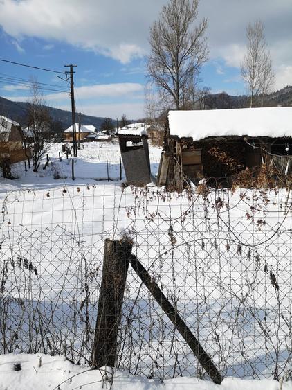 Teren generos cu casuta - 7