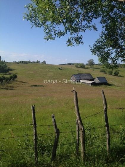 De vanzare teren in zona Crint -Tilisca in golul alpin, direct de la proprietar!