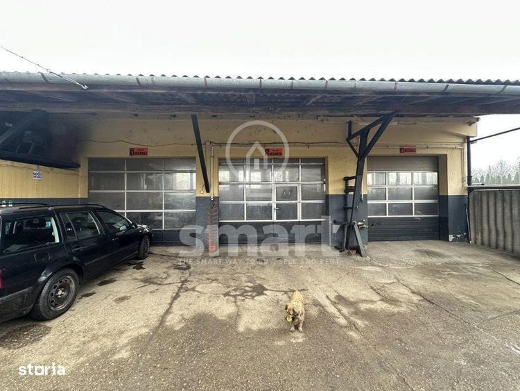 Afacere profitabila de vanzare+ Casa - 3