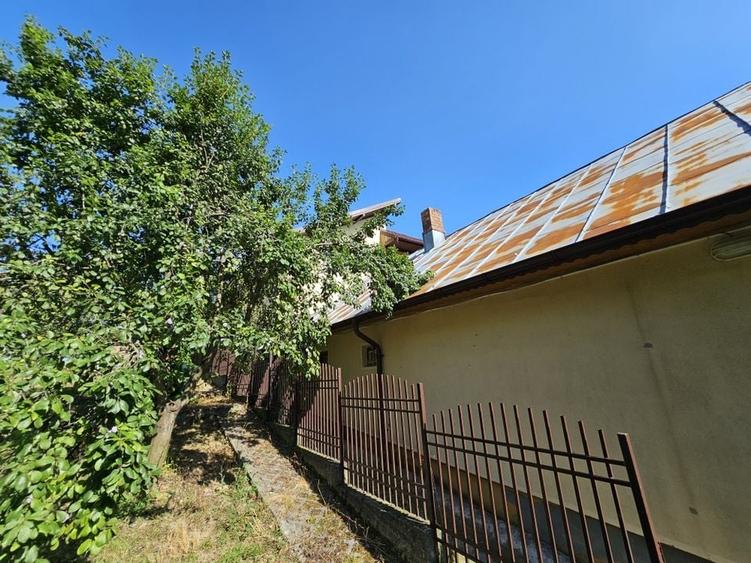 Vila superba de vanzare in Vintila Voda, Buzau D+P+1 si anexe - 47