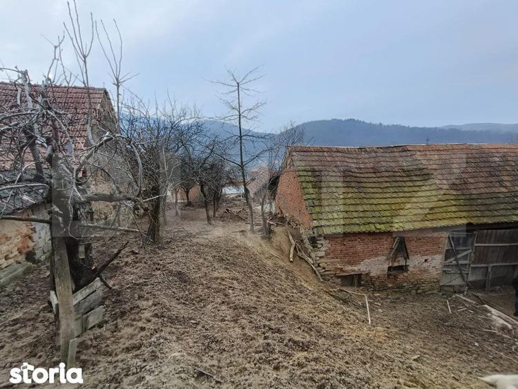 Casa renovabila 5 camere baie si anexe 2800 mp teren in Pianu de Sus - 7