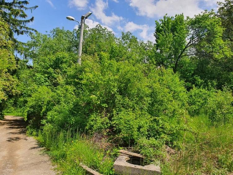 TEREN DE VANZARE - 4