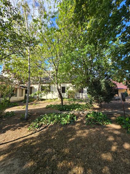 Cenad-Casa/Spatii Birouri- 150mp-teren 1065mp - 7