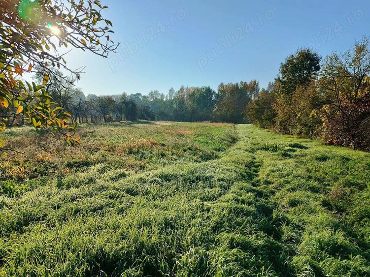 Vand casa la Tinca - 8