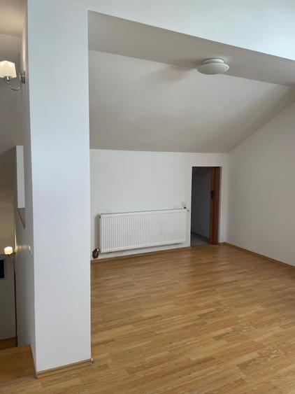 Iancu Nicolae vila 5 dormitoare gradina matura - 17