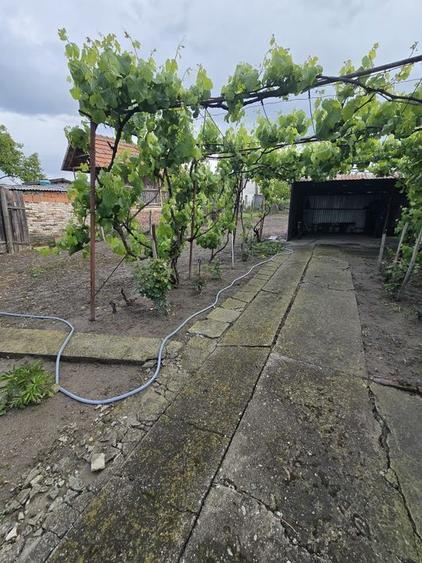 ? Casă renovată cu teren generos - Ciacova, Timiș, 800 mp teren - 8