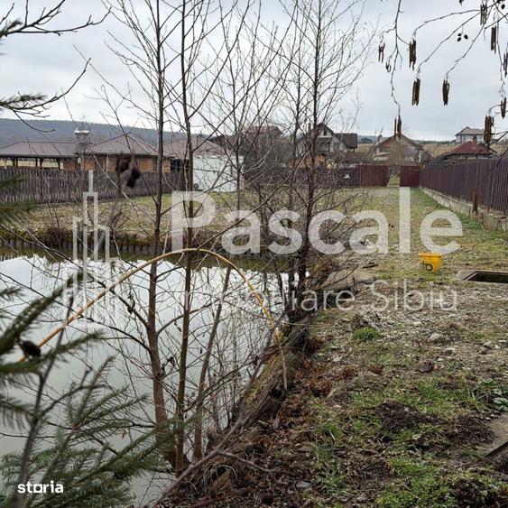 De vanzare Teren deosebit in zona Tocile, Sadu-Sibiu - 2