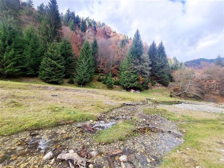 Parcela urbanizabila spectaculoasa,4.600 mp, priveliste emblematica:Piatra Craiu - 9