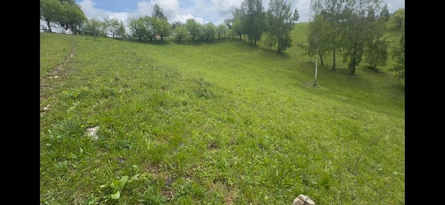 Teren de poveste, intru un sat de poveste Pestera/Moeciu/Brasov - 4